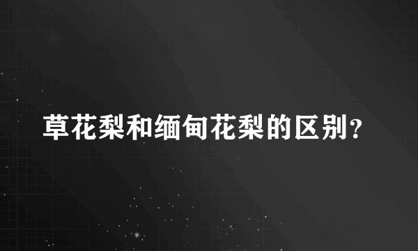 草花梨和缅甸花梨的区别？