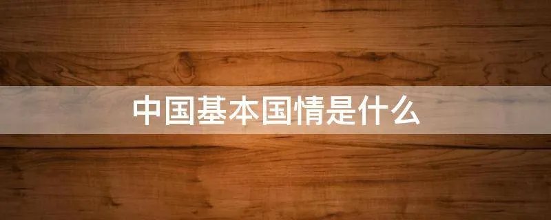 中国基本国情是什么