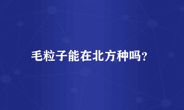 毛粒子能在北方种吗？