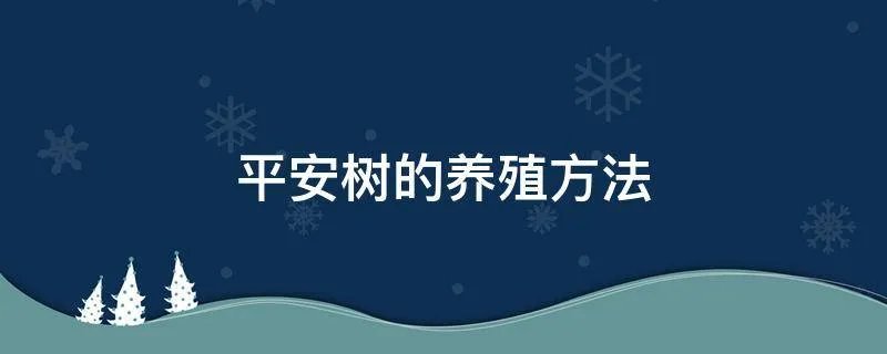 平安树的养殖方法