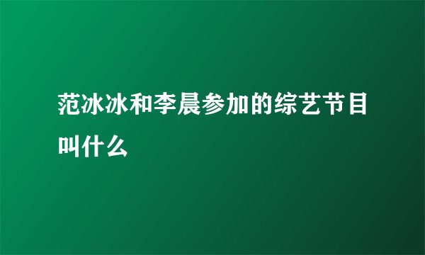 范冰冰和李晨参加的综艺节目叫什么