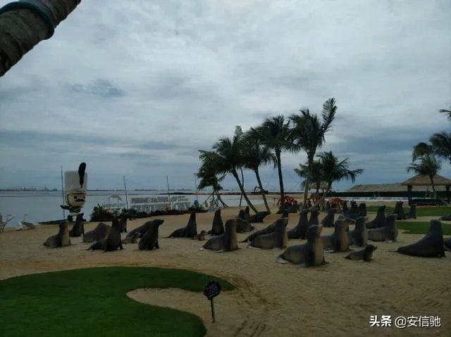 森林城市的户型怎么样?带父母过去住得惯吗?