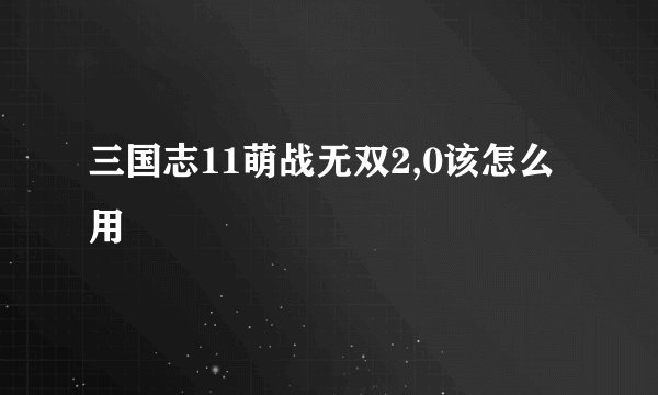 三国志11萌战无双2,0该怎么用
