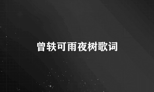 曾轶可雨夜树歌词