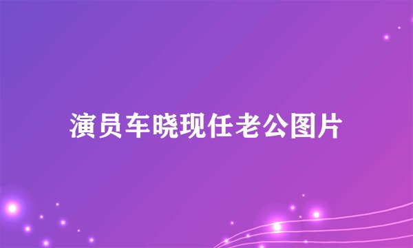 演员车晓现任老公图片