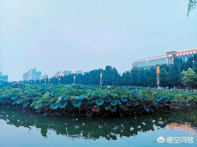 洛阳音乐喷泉值不值得看?你怎么觉得?