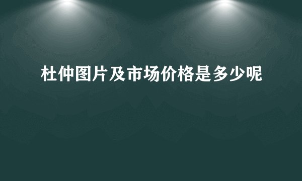杜仲图片及市场价格是多少呢