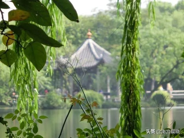 三潭印月有什么特色?