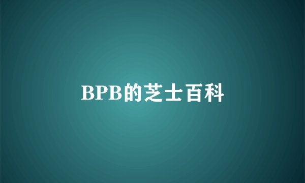 BPB的芝士百科