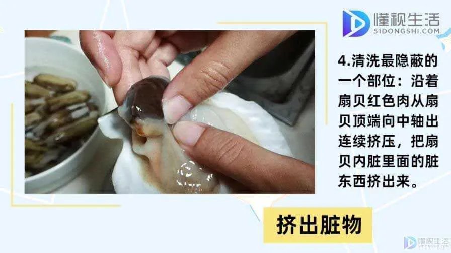 如何清洗扇贝