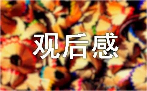 《情满中国》观后感