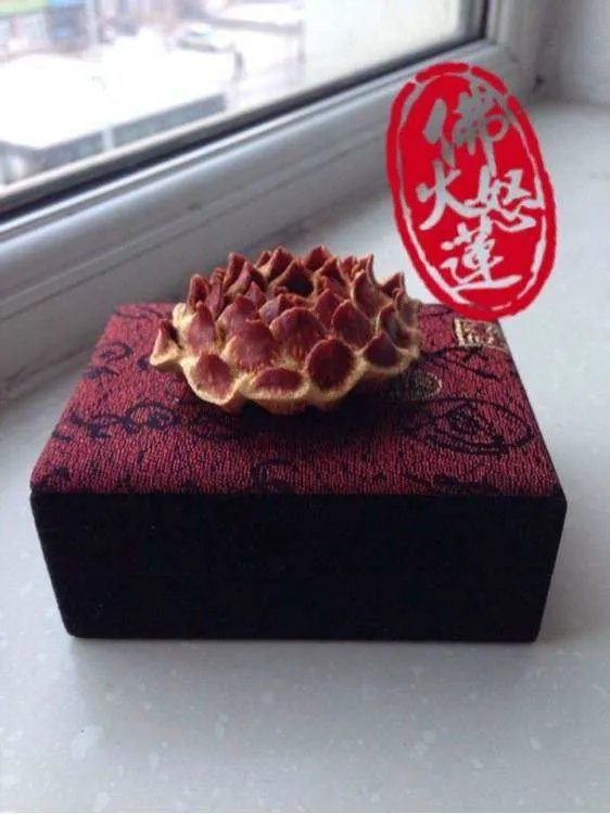 滴血莲花