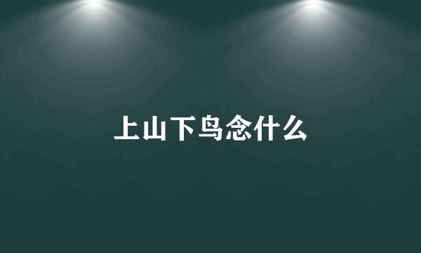 上山下鸟念什么