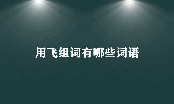 用飞组词有哪些词语