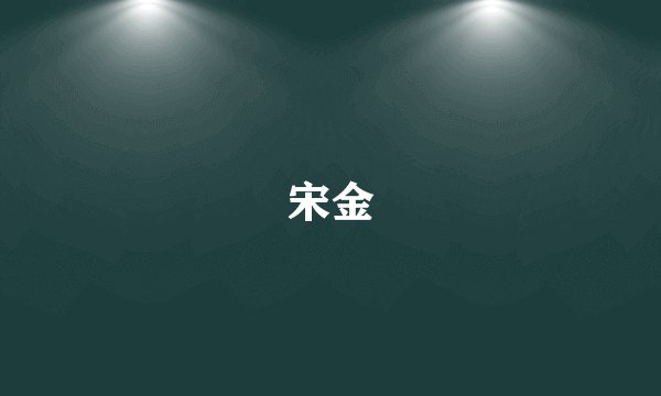 宋金