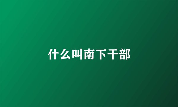 什么叫南下干部