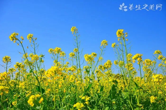 美国新冠肺炎确诊病例超614万例 新冠病毒在秋季存活时间会更长吗