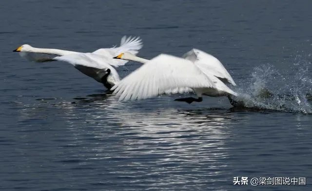 摄影家摄影师
