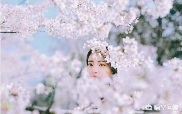 摄影家摄影师