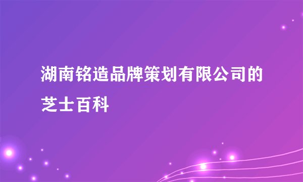 湖南铭造品牌策划有限公司的芝士百科