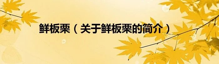 鲜板栗(关于鲜板栗的简介)