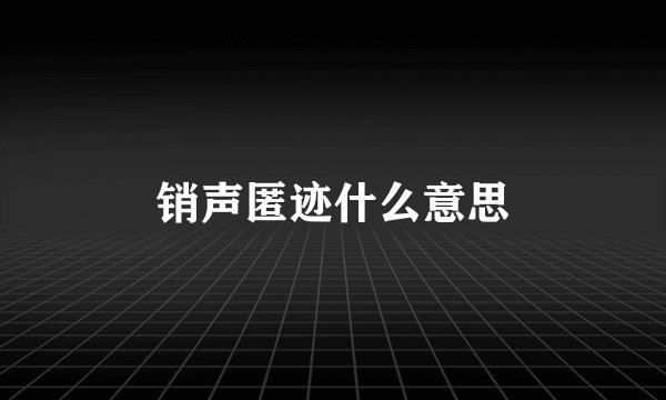 销声匿迹什么意思