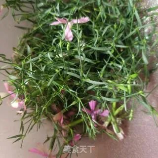 石竹茶