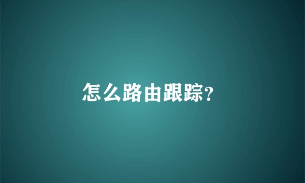 怎么路由跟踪？