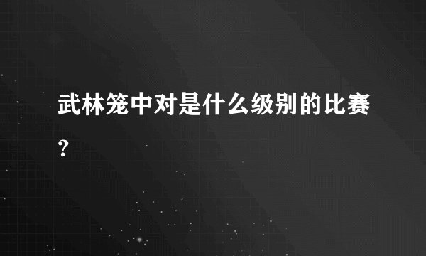 武林笼中对是什么级别的比赛？