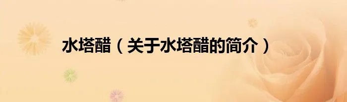 水塔醋（关于水塔醋的简介）