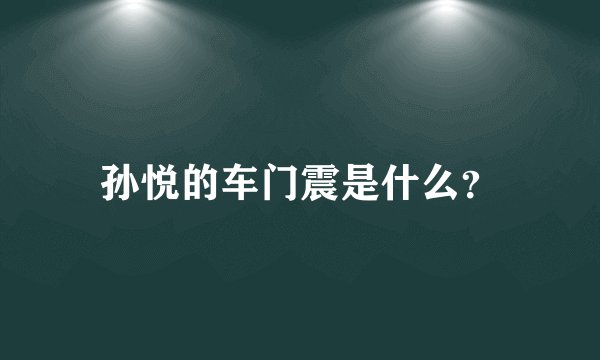 孙悦的车门震是什么?