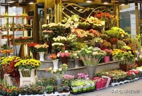 在苏州开一家花店,大概需要多少钱啊,怎么做?