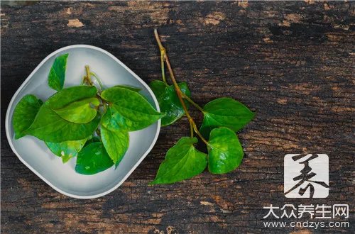 野麻草