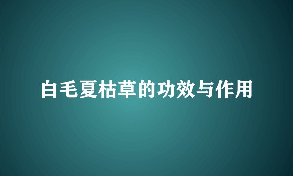 白毛夏枯草的功效与作用