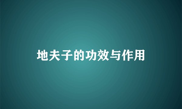 地夫子的功效与作用