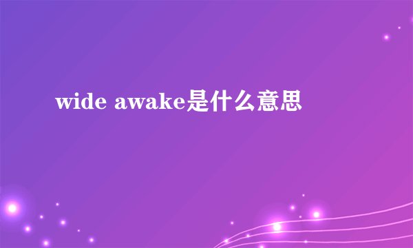 wide awake是什么意思