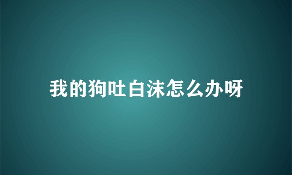 我的狗吐白沫怎么办呀