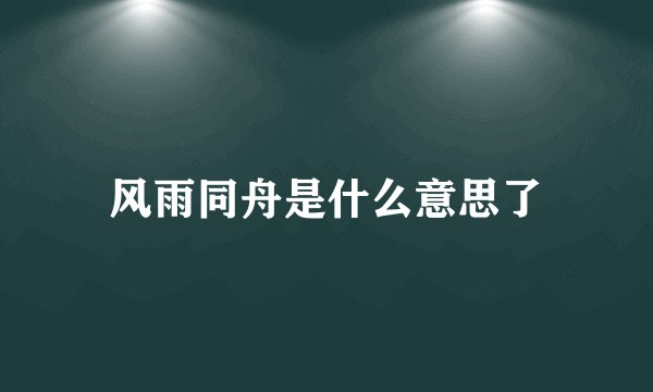 风雨同舟是什么意思了