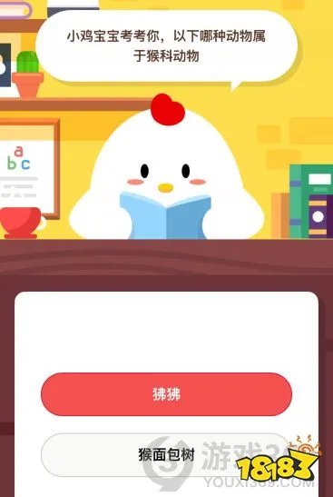 小鸡宝宝考考你 以下哪种动物属于猴科动物