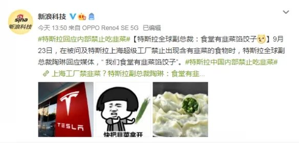 特斯拉禁止员工说韭菜一词?副总裁回应:黑出新高度来
