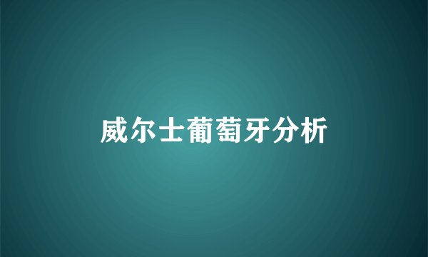 威尔士葡萄牙分析