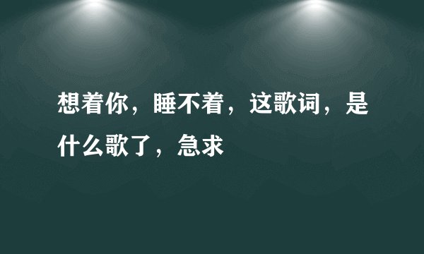 想着你，睡不着，这歌词，是什么歌了，急求
