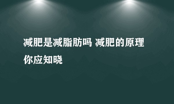 减肥是减脂肪吗 减肥的原理你应知晓
