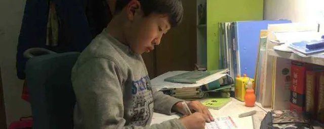 关右是什么意思 关右解释