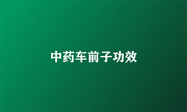 中药车前子功效