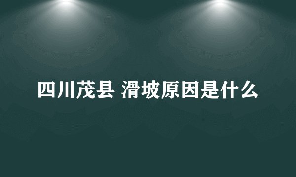 四川茂县 滑坡原因是什么