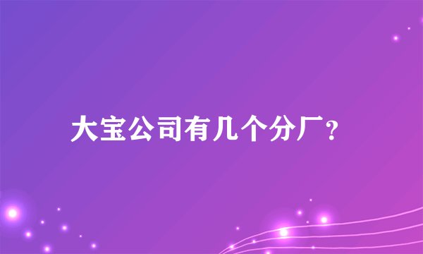 大宝公司有几个分厂？