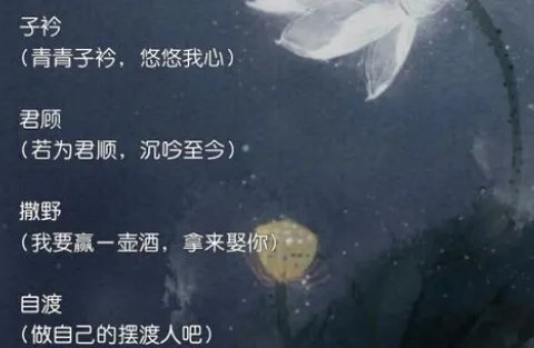 最独特的网名