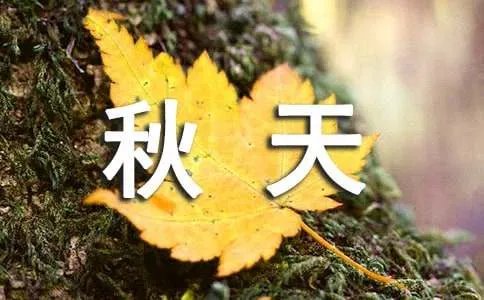 描写秋天的景色作文