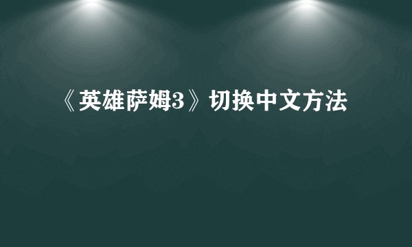 《英雄萨姆3》切换中文方法